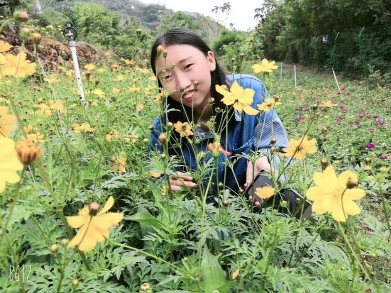 哈哈的第一张照片--昭通认干亲服务网